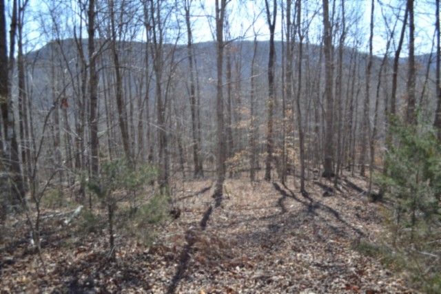 0 Cheyenne Drive, Jamestown, TN 38556