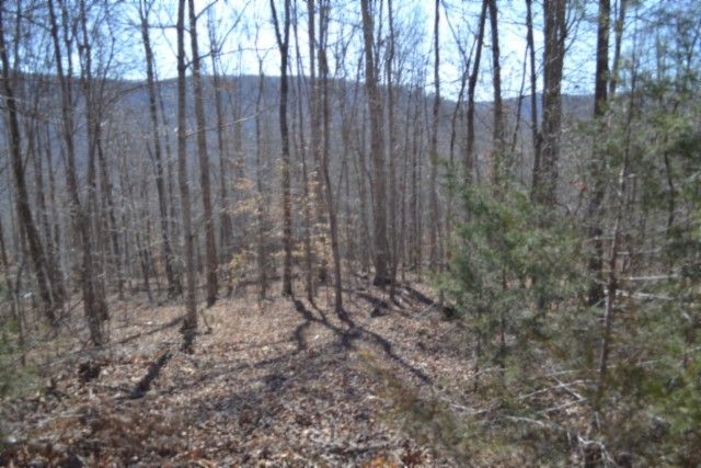0 Cheyenne Drive, Jamestown, TN 38556