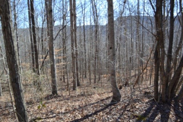 0 Cheyenne Drive, Jamestown, TN 38556