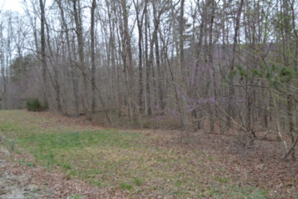0 Cheyenne Drive, Jamestown, TN 38556