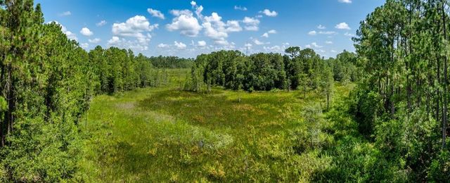11511 MATTIODA ROAD, Groveland, FL 34736