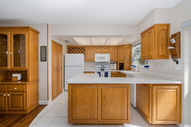 1363 OVERLEA DRIVE, Dunedin, FL 34698