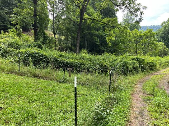 00 Bates Creek Road, Murphy, NC 28906