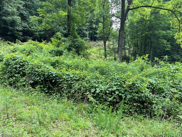 00 Bates Creek Road, Murphy, NC 28906