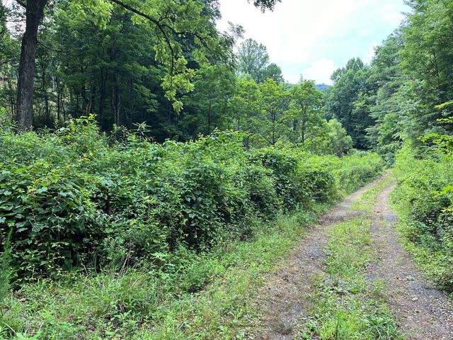 00 Bates Creek Road, Murphy, NC 28906