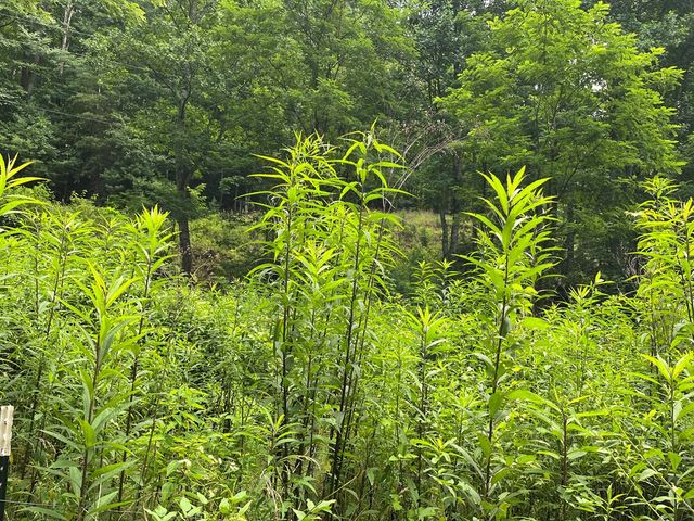 00 Bates Creek Road, Murphy, NC 28906