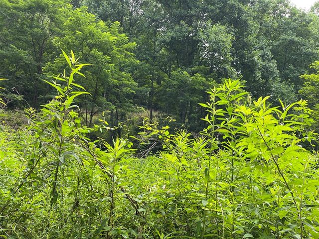 00 Bates Creek Road, Murphy, NC 28906