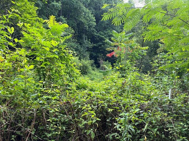 00 Bates Creek Road, Murphy, NC 28906