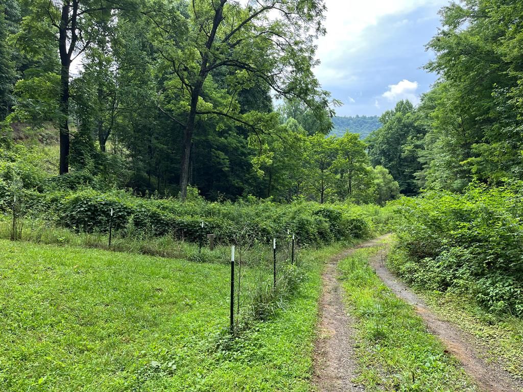 00 Bates Creek Road, Murphy, NC 28906