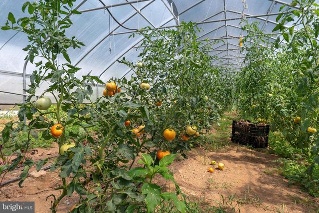 20633 MOUNT ZION RD, Freeland, MD 21053