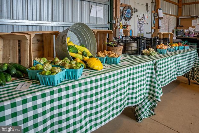 20633 MOUNT ZION RD, Freeland, MD 21053