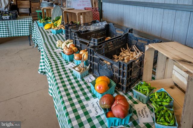 20633 MOUNT ZION RD, Freeland, MD 21053