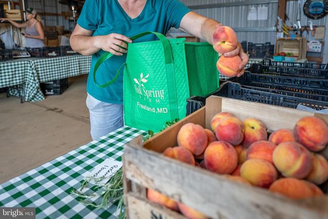 20633 MOUNT ZION RD, Freeland, MD 21053