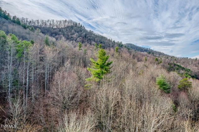 902 R D Campbell Road, Butler, TN 37640