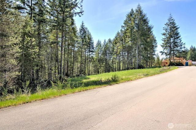 161 E Lexington Place, Shelton, WA 98584