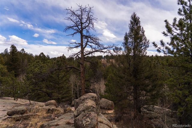 12581 S US Hwy 285, Conifer, CO 80433
