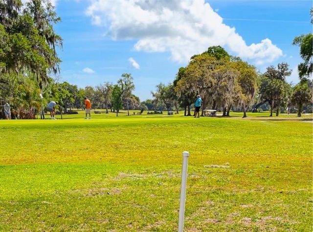 5 BOBWHITE CROSSING, Wildwood, FL 34785