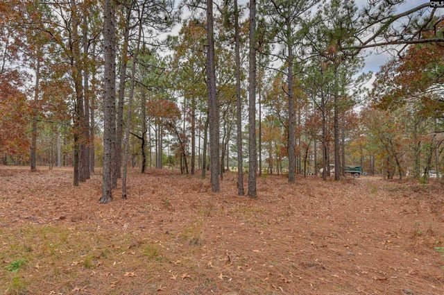 225 Corine Drive, West Columbia, SC 29172