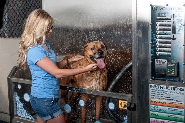 1212 Laurel St Apt 807, Nashville, TN 37203