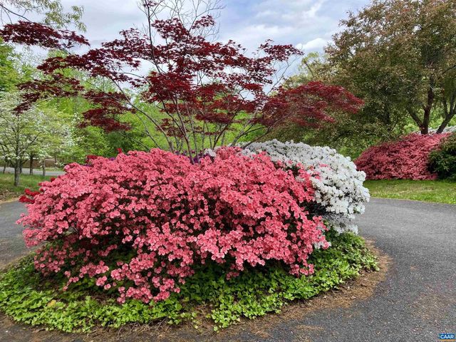 4051 FREE UNION RD, Charlottesville, VA 22901