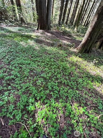 0 Lot 31 NW Lakeness, Poulsbo, WA 98370