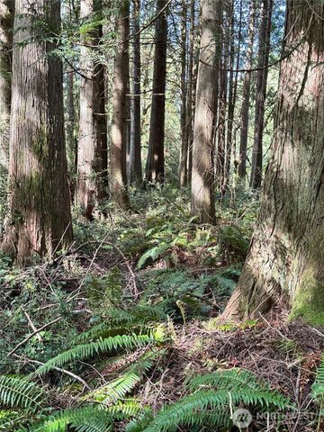 0 Lot 31 NW Lakeness, Poulsbo, WA 98370