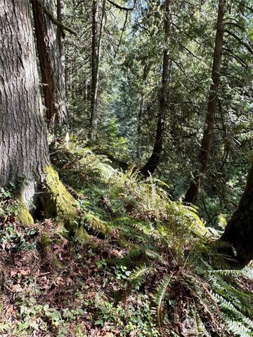 0 Lot 31 NW Lakeness, Poulsbo, WA 98370