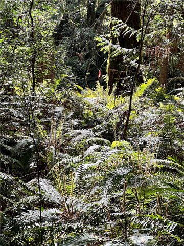 0 Lot 31 NW Lakeness, Poulsbo, WA 98370