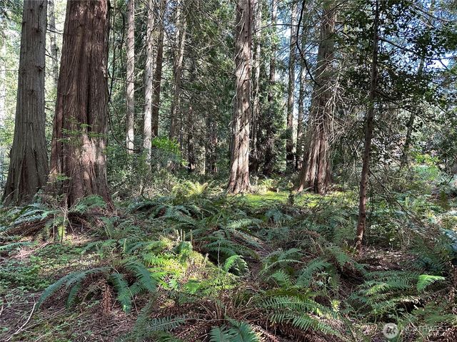 0 Lot 31 NW Lakeness, Poulsbo, WA 98370
