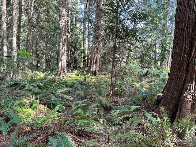 0 Lot 31 NW Lakeness, Poulsbo, WA 98370
