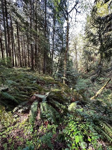 0 Lot 31 NW Lakeness, Poulsbo, WA 98370