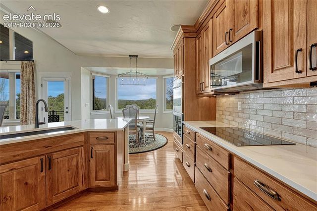 17925 Grama Ridge, Colorado Springs, CO 80908