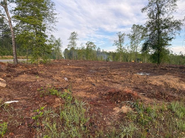 Hwy 110, Longville, LA 70652