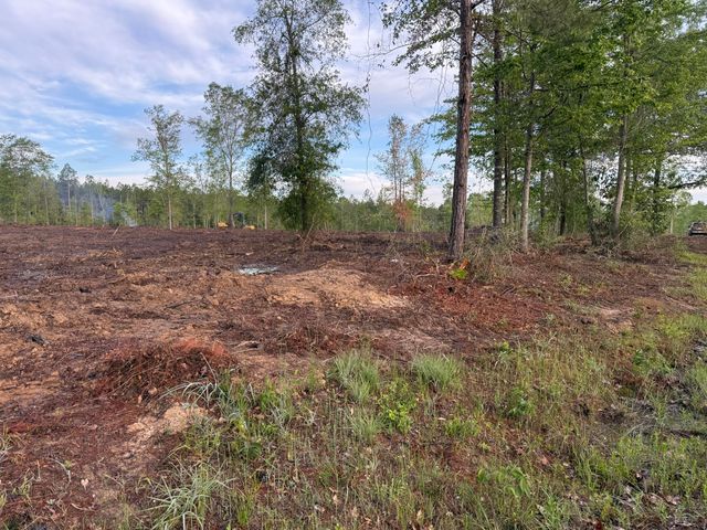 Hwy 110, Longville, LA 70652