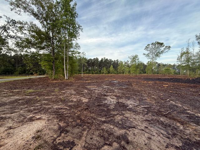 Hwy 110, Longville, LA 70652