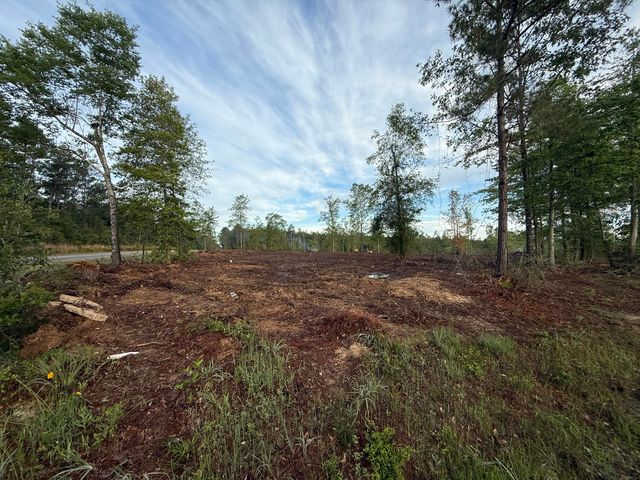 Hwy 110, Longville, LA 70652