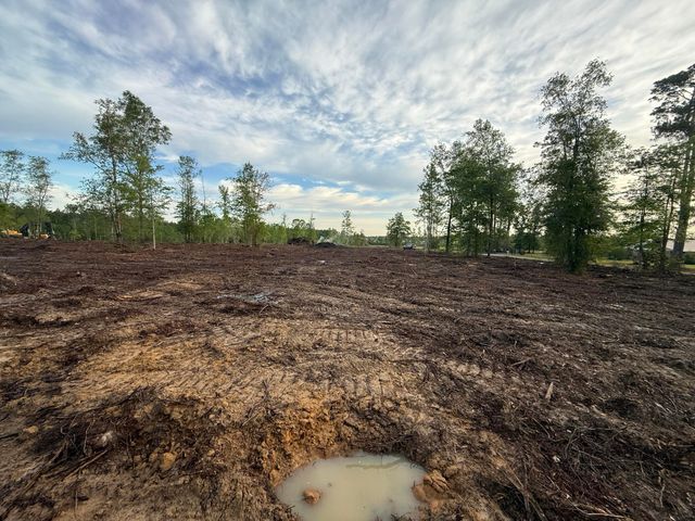 Hwy 110, Longville, LA 70652