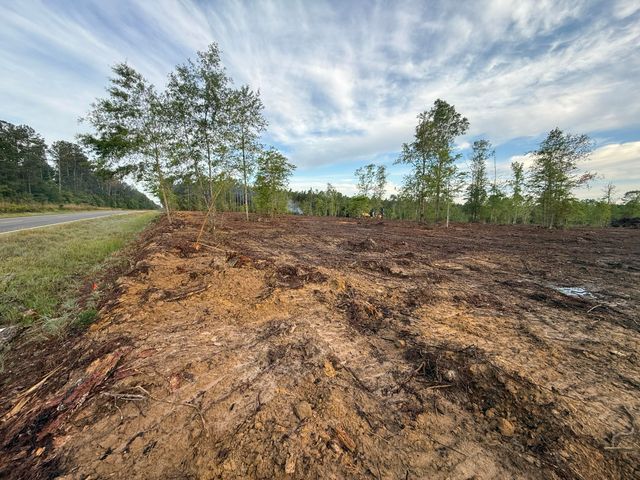 Hwy 110, Longville, LA 70652