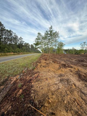 Hwy 110, Longville, LA 70652