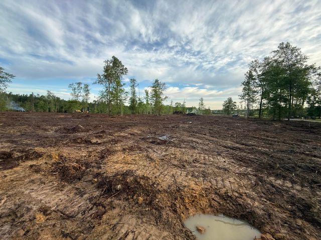 Hwy 110, Longville, LA 70652