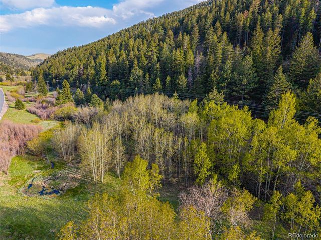 5896 Peregrine Trail, Golden, CO 80403