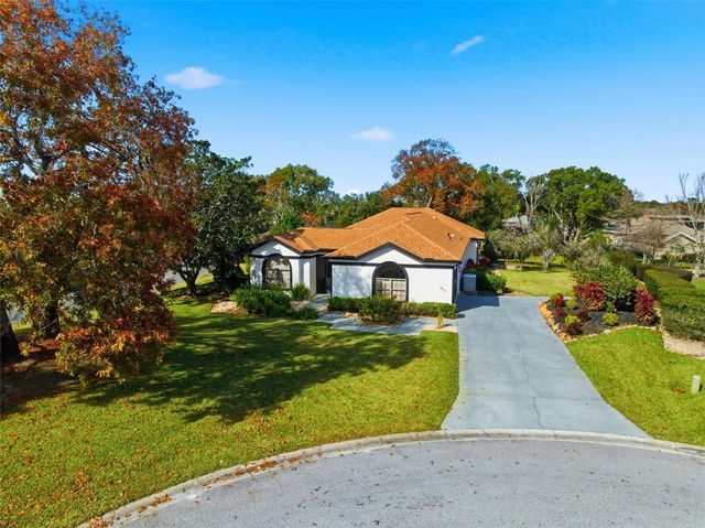 8451 DELTA COURT, Weeki Wachee, FL 34613