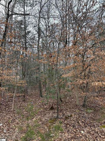 00 Woods Circle, Fountain Inn, SC 29644
