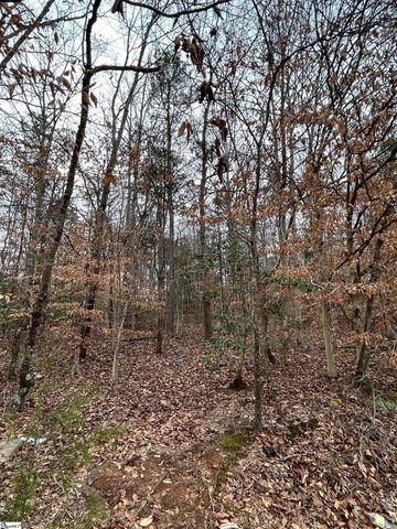 00 Woods Circle, Fountain Inn, SC 29644