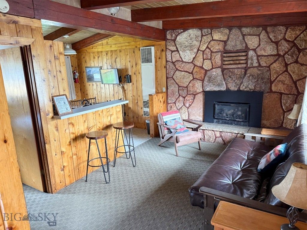 113 Main Street W, Cooke City, MT 59020 photo 13