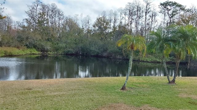 1932 GRENVILLE COURT, Wesley Chapel, FL 33543