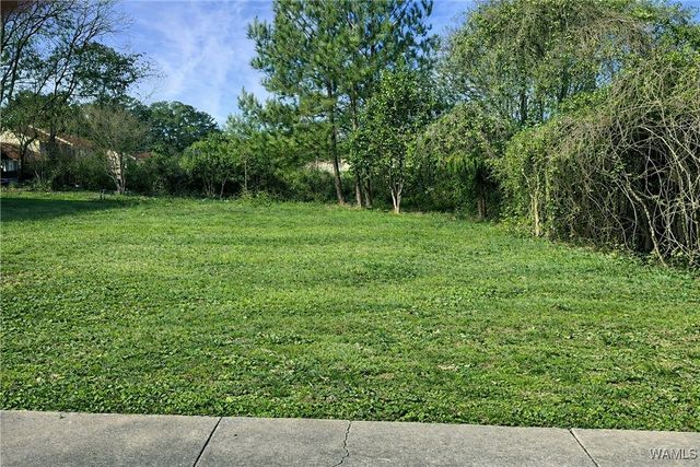 4128 Watermelon, Northport, AL 35473