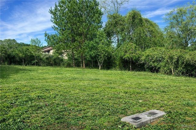 4128 Watermelon, Northport, AL 35473