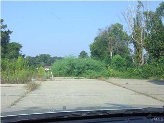 4128 Watermelon, Northport, AL 35473