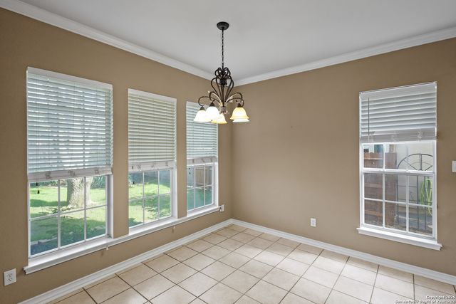 1654 Hawks Tree, San Antonio, TX 78248